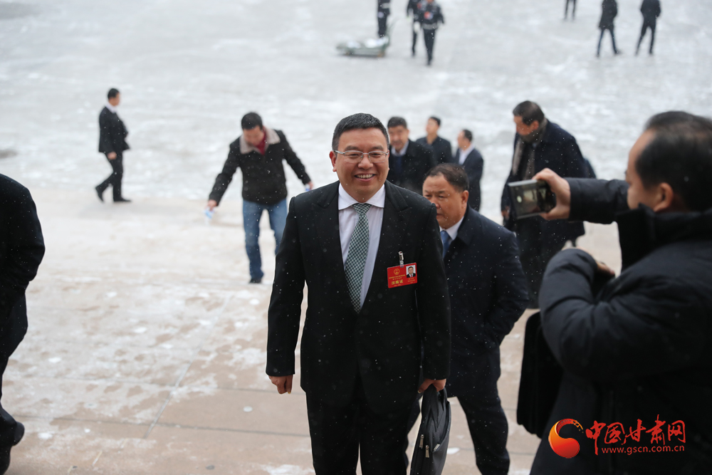 【聚焦2020甘肅兩會】“兩會”代表、委員風(fēng)采掠影（組圖）