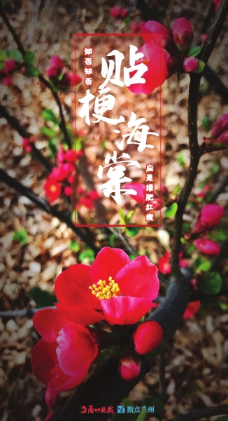 來(lái)，跟這些美美的花朵認(rèn)識(shí)一下！
