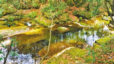 甘肅旅游丨八福溝，西秦嶺深處的水韻秘境