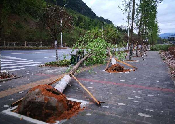 刮風下雨加速新冠病毒傳播？別信！