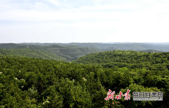 【甘肅生態(tài)環(huán)保媒體行】子午嶺深處，一家三代人用生命守護(hù)黃土高原的“天然生態(tài)屏障”