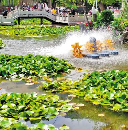 走，到五泉山公園看花展去