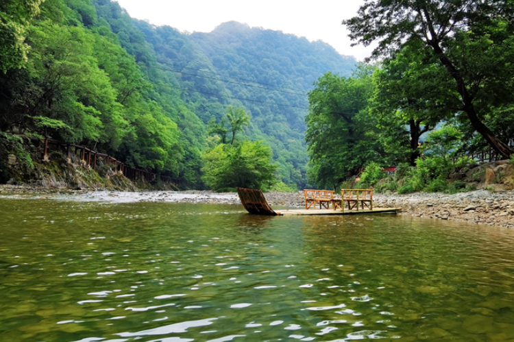 【小隴畫報(bào)·95期】康縣：來陽壩，“森”呼吸，我“氧”你