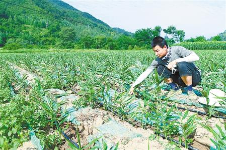 【走向我們的小康生活】安居樂業(yè) 幸?；ㄩ_