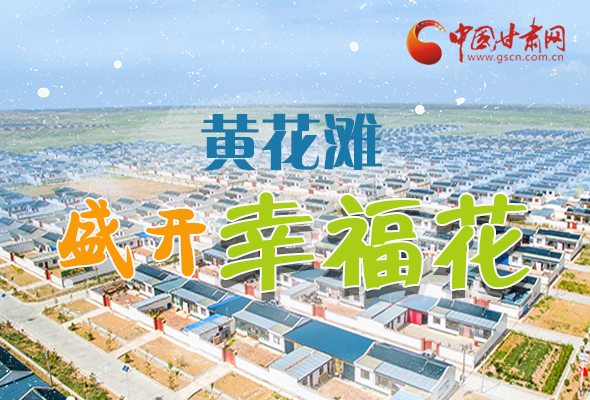 【跟著總書記看甘肅】長圖|武威黃花灘盛開幸?；?