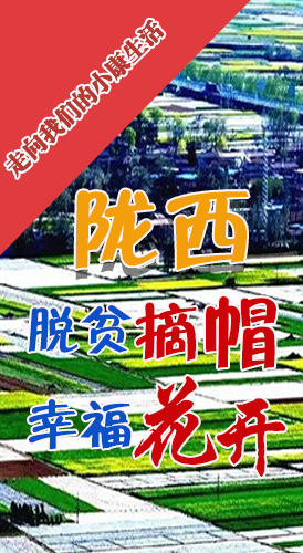 【走向我們的小康生活】長圖|隴西：脫貧摘帽 幸?；ㄩ_