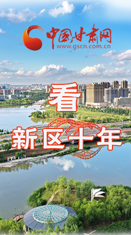 圖解|崛起！新區(qū)十年