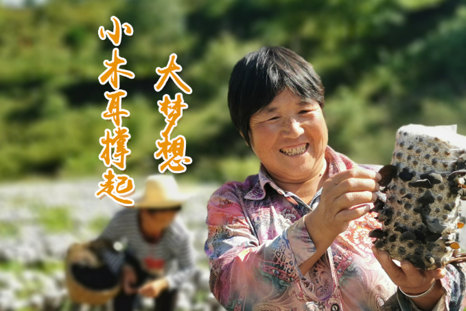 海報丨他們，乘“豐”破浪！