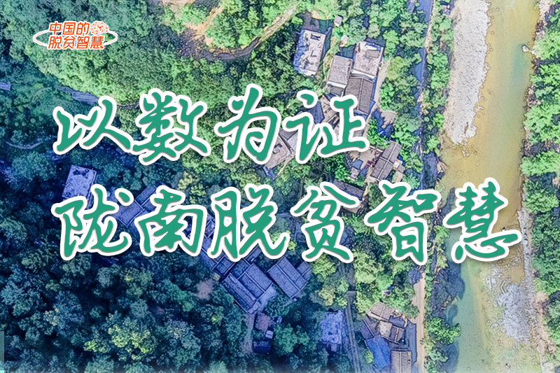 【中國的脫貧智慧】以數(shù)為證！隴南脫貧智慧來了！