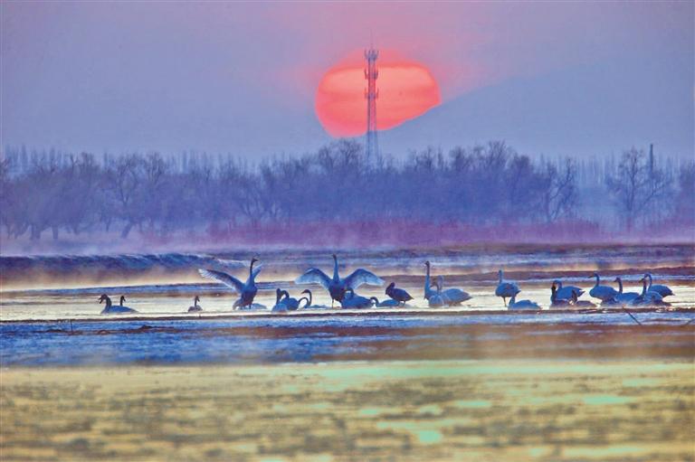 在高臺(tái)遇見黑河 一條“愛(ài)情河”的浪漫映像