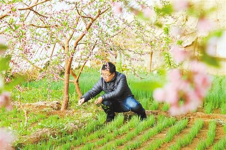 甘肅：時令催人耕種忙，不誤田間一季春