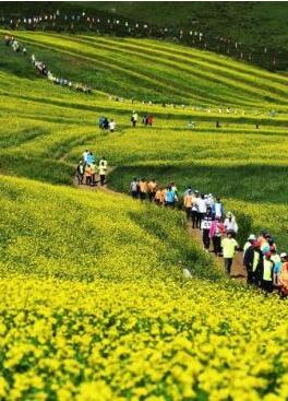 甘肅明確農(nóng)民進(jìn)城落戶:不以退出承包地、林地等為條件