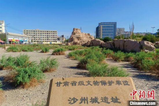 圖為沙州郡城遺址公園古遺址?！⊥醣筱y 攝
