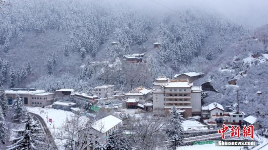 圖為籠罩在雪下的世界。吳永 攝