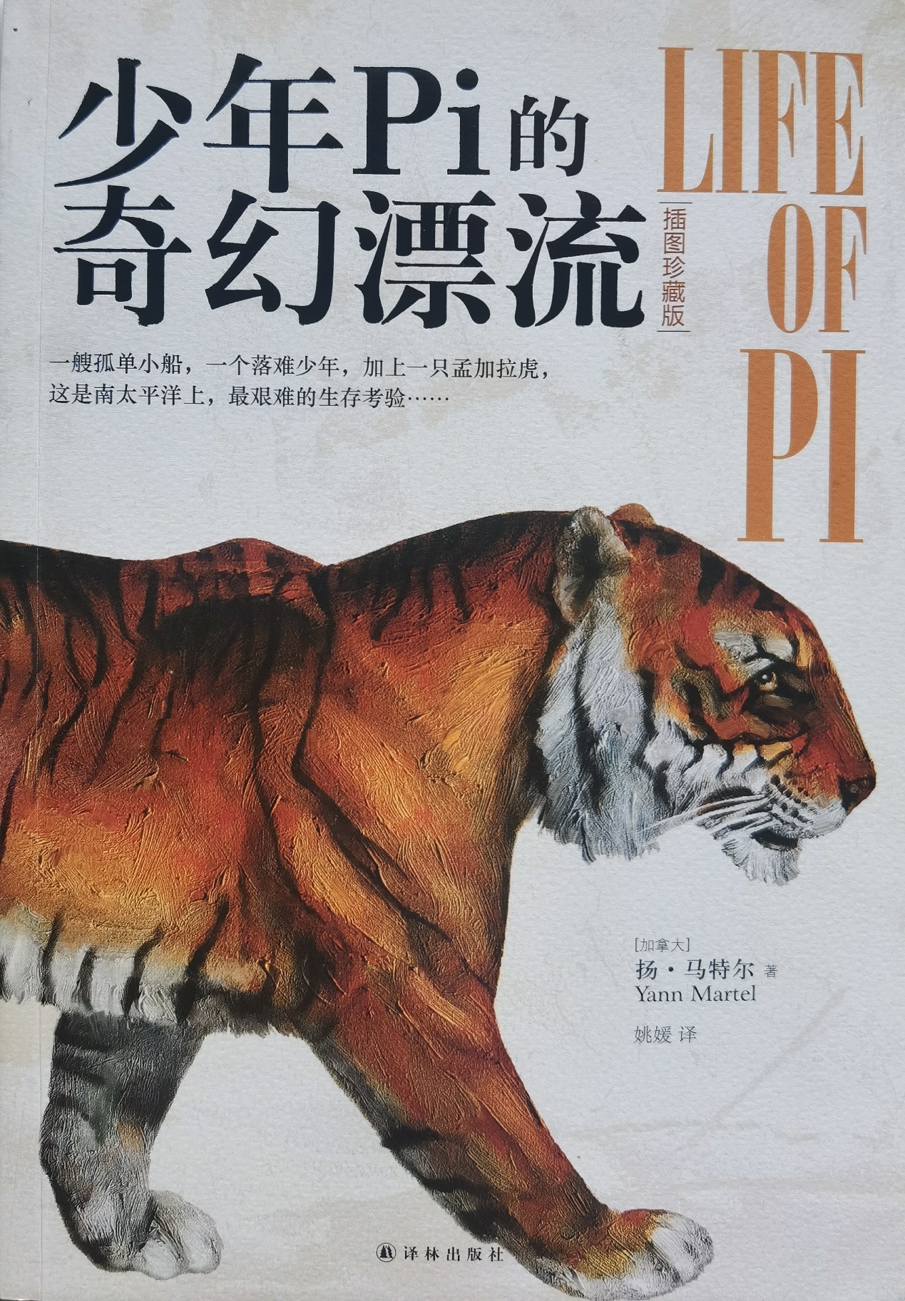 插圖1：揚(yáng)？馬特爾的小說(shuō)《少年pi的奇幻漂流》封面