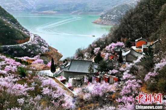 甘肅平?jīng)鍪惺侵袊鴥?yōu)秀旅游城市。圖為平?jīng)鲠轻忌较率锾一ㄊ㈤_。(資料圖) 平?jīng)鍪形麄鞑抗﹫D