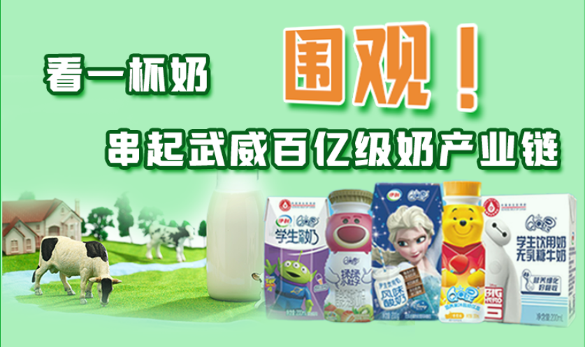 圖解|圍觀！看一杯奶串起武威百億級(jí)奶產(chǎn)業(yè)鏈