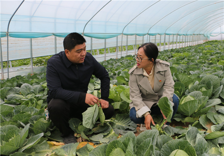 潘蕙蘭（右一）在甘肅隴之味生態(tài)農業(yè)科技有限公司走訪調研了解惠農政策落實情況。.jpg