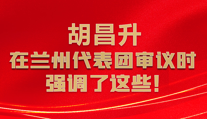 圖解|胡昌升在蘭州代表團審議時強調(diào)了這些！