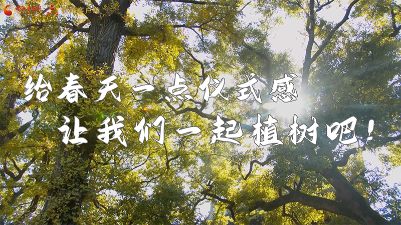 短視頻|給春天一點(diǎn)儀式感，讓我們一起植樹吧！
