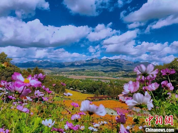 圖為盛夏時(shí)節(jié)的油嘴灣“花?！薄！∈茉L者供圖