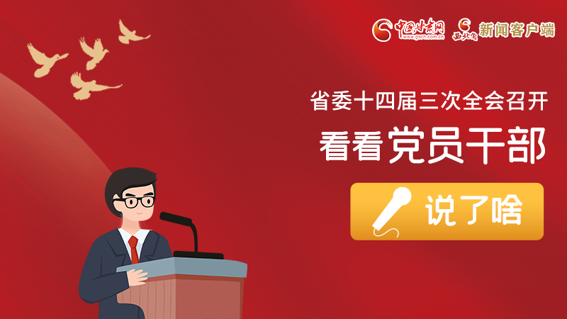 圖解|事關(guān)甘肅省委十四屆三次全會，黨員干部這么說！