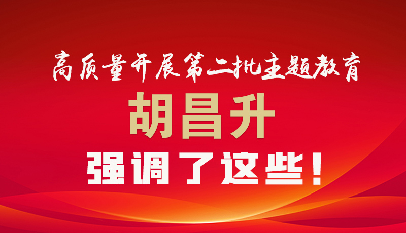 圖解|高質量開展第二批主題教育 胡昌升強調了這些！