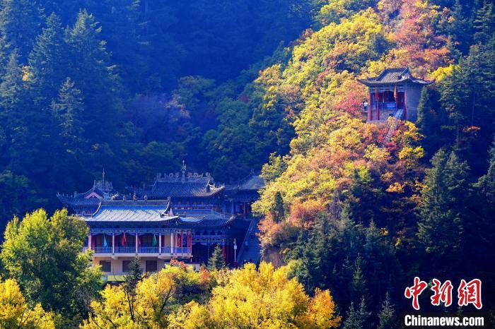 深秋，位于蘭州市榆中縣的興隆山景色如畫。宮衛(wèi)紅 攝