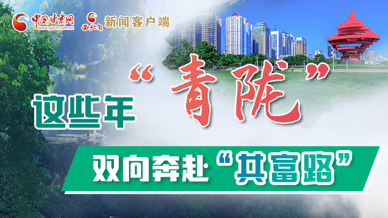 【江河奔流·青隴協(xié)作譜新篇】這些年，“青隴”雙向奔赴“共富路”