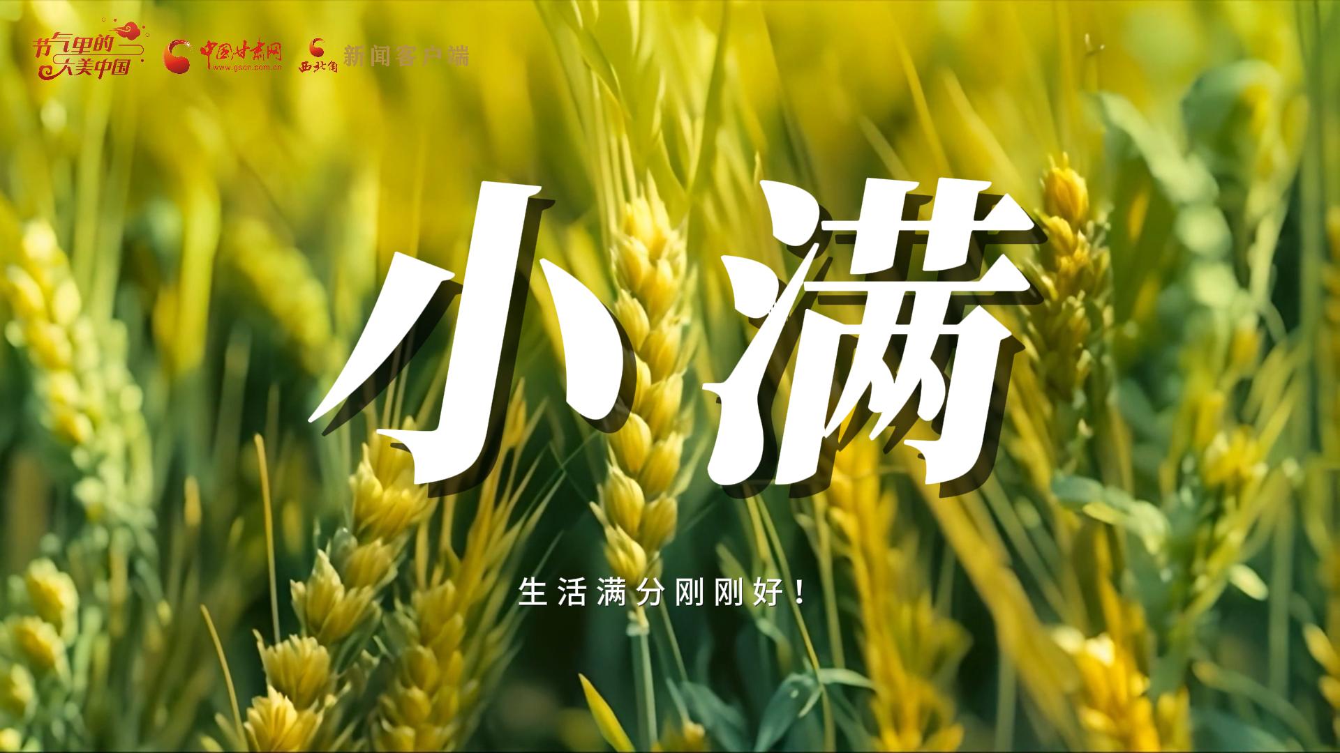 【節(jié)氣里的大美甘肅·小滿(mǎn)】生活滿(mǎn)分剛剛好！