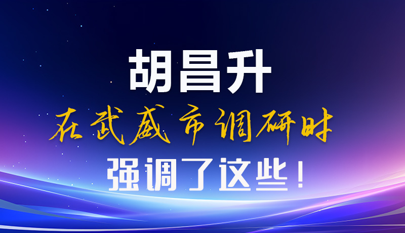 圖解|胡昌升在武威市調(diào)研時(shí)強(qiáng)調(diào)了這些！