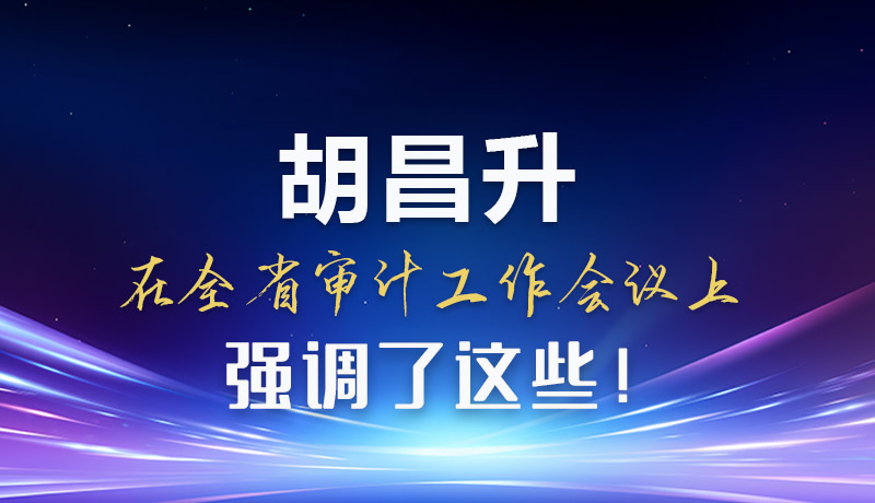 圖解|胡昌升在全省審計工作會議上強調了這些！