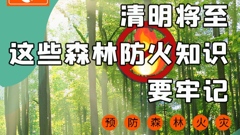 【甘快看】圖解|緊繃“安全弦”！清明，這些森林防火知識(shí)要牢記