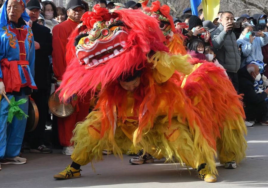 蘭州北獅表演現(xiàn)場(chǎng)。受訪者供圖