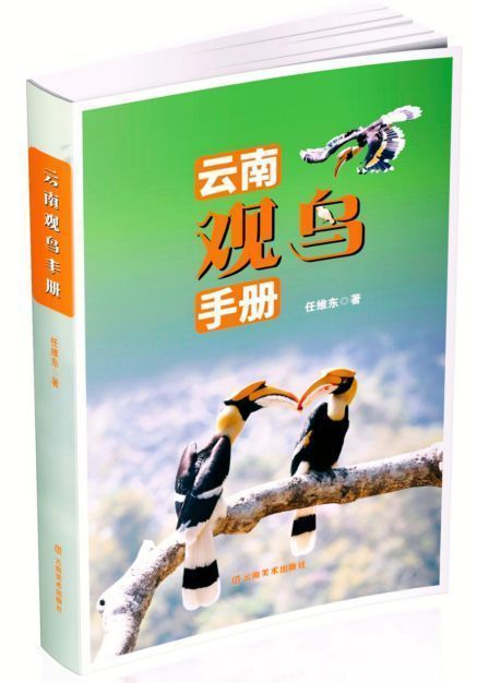 飛鳥的請(qǐng)柬：聽見羽翼劃過(guò)彩云之南
