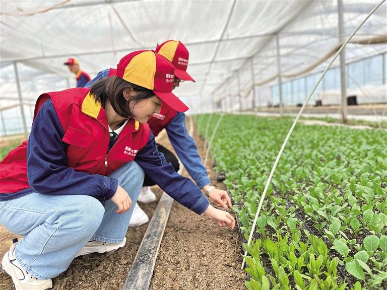 電網(wǎng)升級強基礎 精準幫扶興產(chǎn)業(yè)